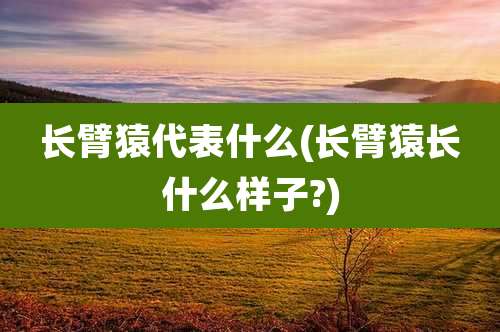 长臂猿代表什么(长臂猿长什么样子?)