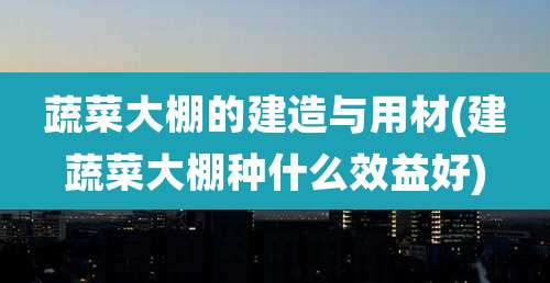 蔬菜大棚的建造与用材(建蔬菜大棚种什么效益好)