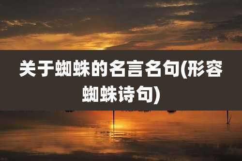 关于蜘蛛的名言名句(形容蜘蛛诗句)