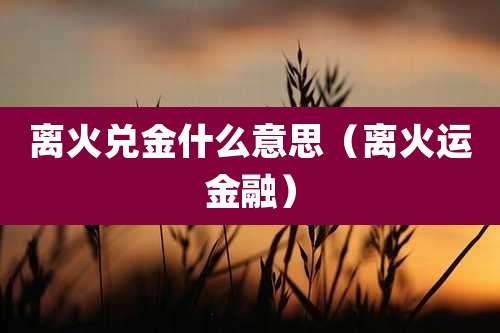 离火兑金什么意思（离火运金融）