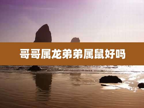 哥哥属龙弟弟属鼠好吗