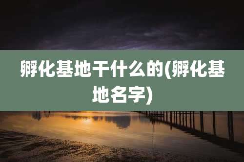 孵化基地干什么的(孵化基地名字)