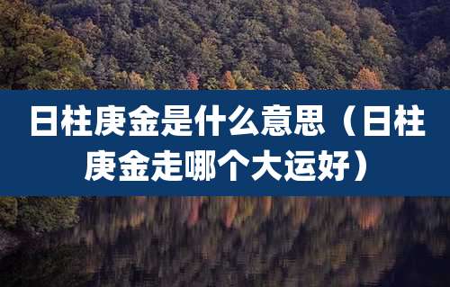 日柱庚金是什么意思（日柱庚金走哪个大运好）