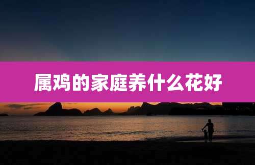 属鸡的家庭养什么花好