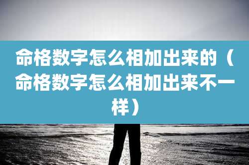 命格数字怎么相加出来的（命格数字怎么相加出来不一样）