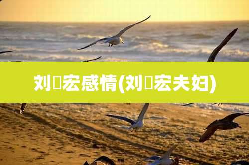 刘畊宏感情(刘畊宏夫妇)