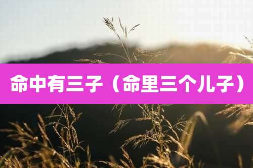 命中有三子（命里三个儿子）