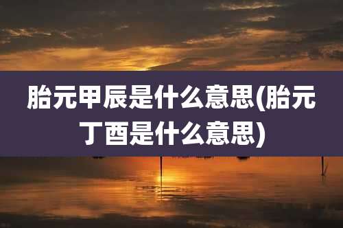 胎元甲辰是什么意思(胎元丁酉是什么意思)