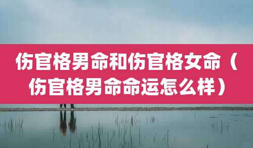 伤官格男命和伤官格女命（伤官格男命命运怎么样）