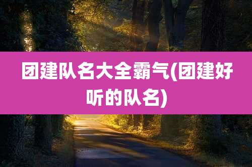 团建队名大全霸气(团建好听的队名)