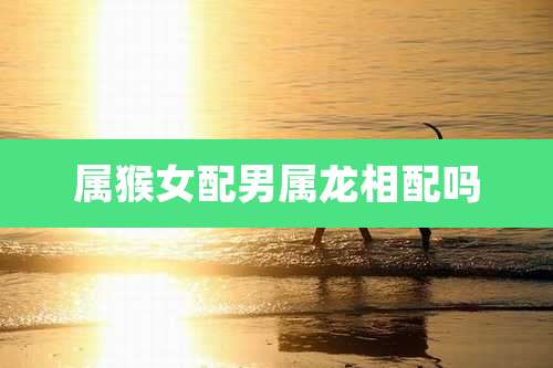 属猴女配男属龙相配吗