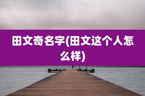田文奇名字(田文这个人怎么样)