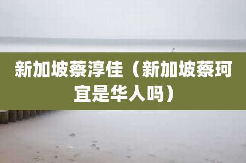 新加坡蔡淳佳（新加坡蔡珂宜是华人吗）