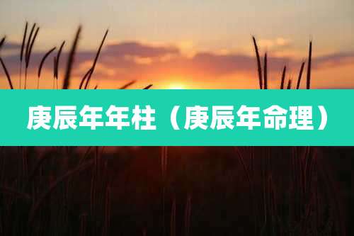 庚辰年年柱（庚辰年命理）