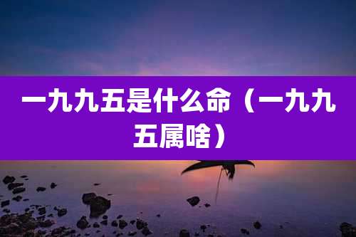 一九九五是什么命（一九九五属啥）