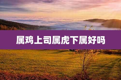 属鸡上司属虎下属好吗