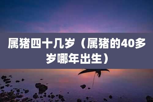 属猪四十几岁（属猪的40多岁哪年出生）