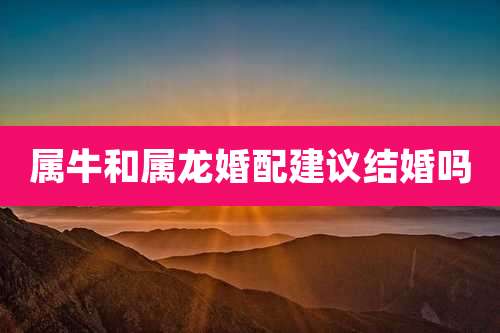 属牛和属龙婚配建议结婚吗