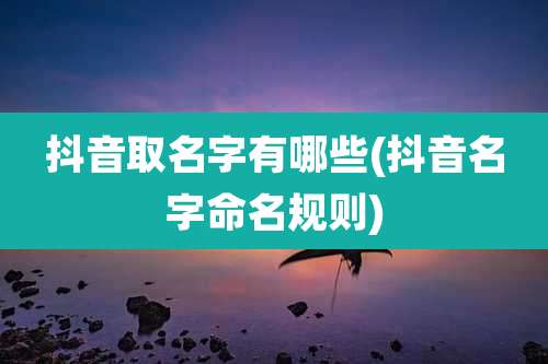 抖音取名字有哪些(抖音名字命名规则)