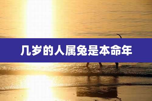 几岁的人属兔是本命年