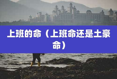 上班的命（上班命还是土豪命）