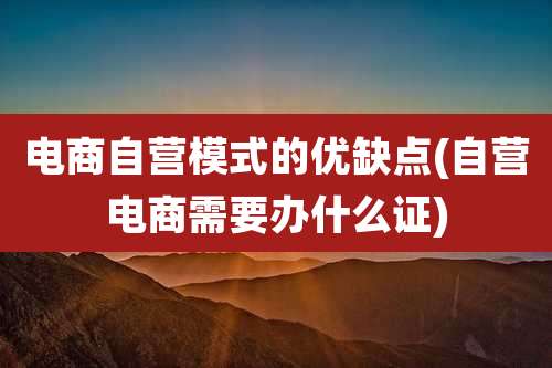 电商自营模式的优缺点(自营电商需要办什么证)