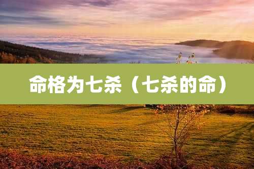 命格为七杀（七杀的命）