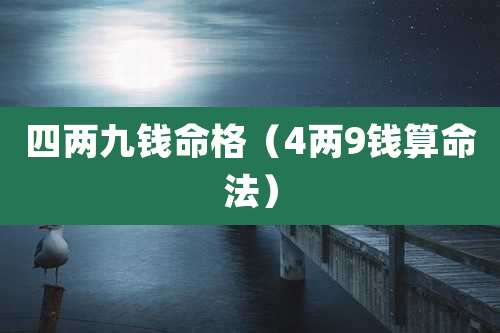 四两九钱命格（4两9钱算命法）