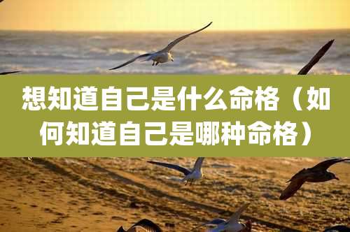 想知道自己是什么命格（如何知道自己是哪种命格）