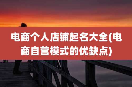 电商个人店铺起名大全(电商自营模式的优缺点)