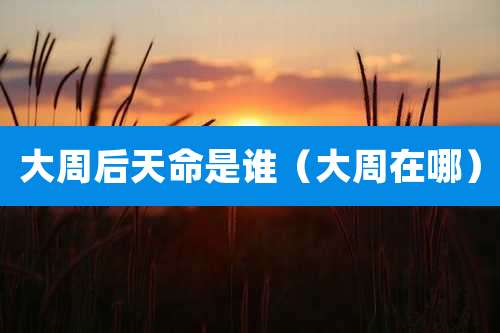大周后天命是谁（大周在哪）