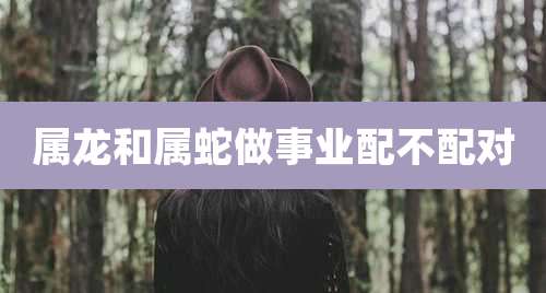 属龙和属蛇做事业配不配对