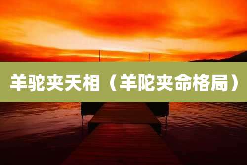 羊驼夹天相（羊陀夹命格局）