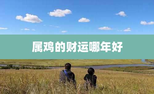 属鸡的财运哪年好