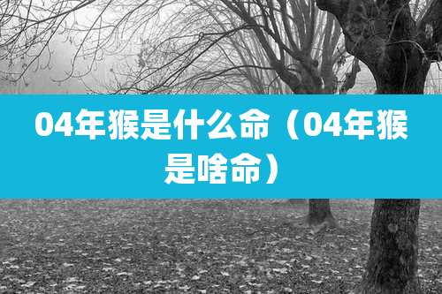 04年猴是什么命（04年猴是啥命）