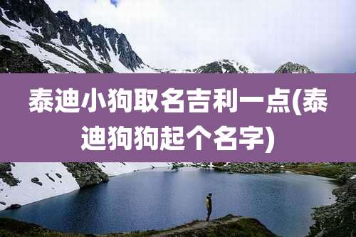 泰迪小狗取名吉利一点(泰迪狗狗起个名字)