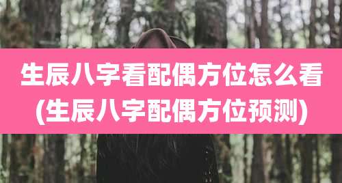 生辰八字看配偶方位怎么看(生辰八字配偶方位预测)