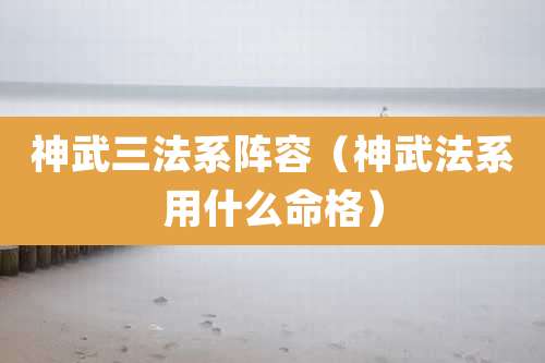 神武三法系阵容（神武法系用什么命格）