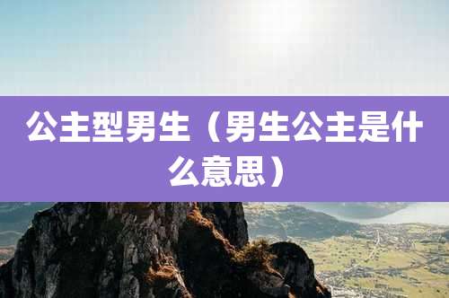 公主型男生（男生公主是什么意思）