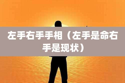 左手右手手相（左手是命右手是现状）