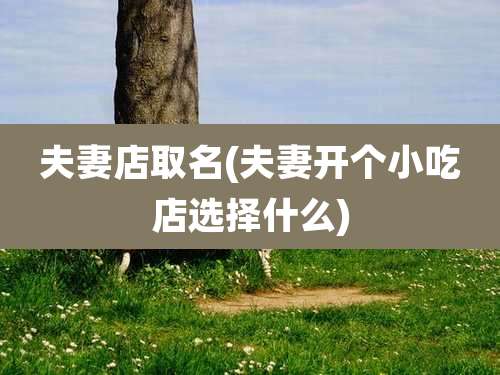 夫妻店取名(夫妻开个小吃店选择什么)