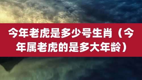 今年老虎是多少号生肖（今年属老虎的是多大年龄）