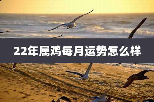 22年属鸡每月运势怎么样
