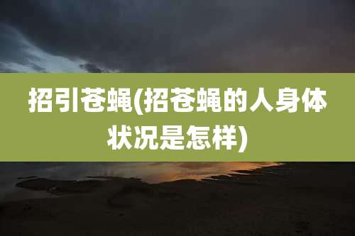 招引苍蝇(招苍蝇的人身体状况是怎样)
