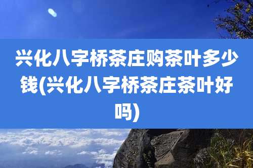 兴化八字桥茶庄购茶叶多少钱(兴化八字桥茶庄茶叶好吗)