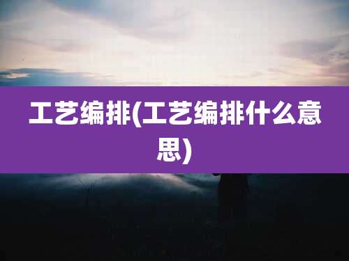 工艺编排(工艺编排什么意思)