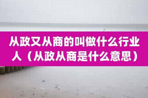 从政又从商的叫做什么行业人（从政从商是什么意思）