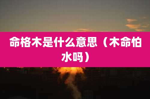 命格木是什么意思（木命怕水吗）