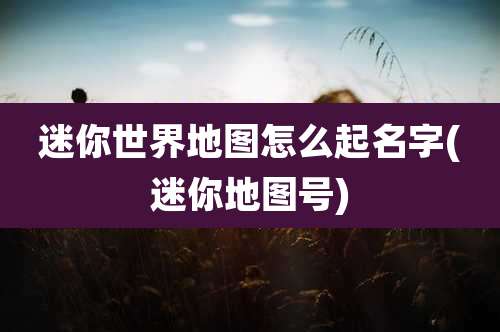 迷你世界地图怎么起名字(迷你地图号)