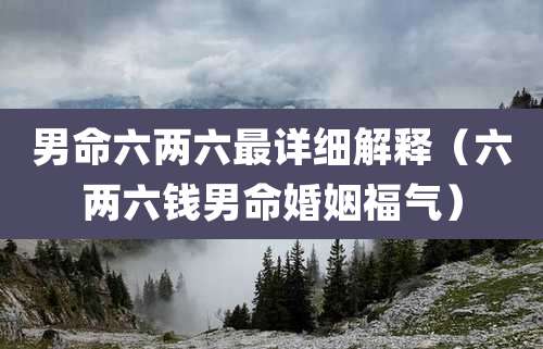 男命六两六最详细解释（六两六钱男命婚姻福气）